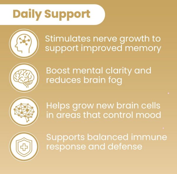 Suplemento sin gluten Lions Mane Sanar Naturals beneficio cerebral