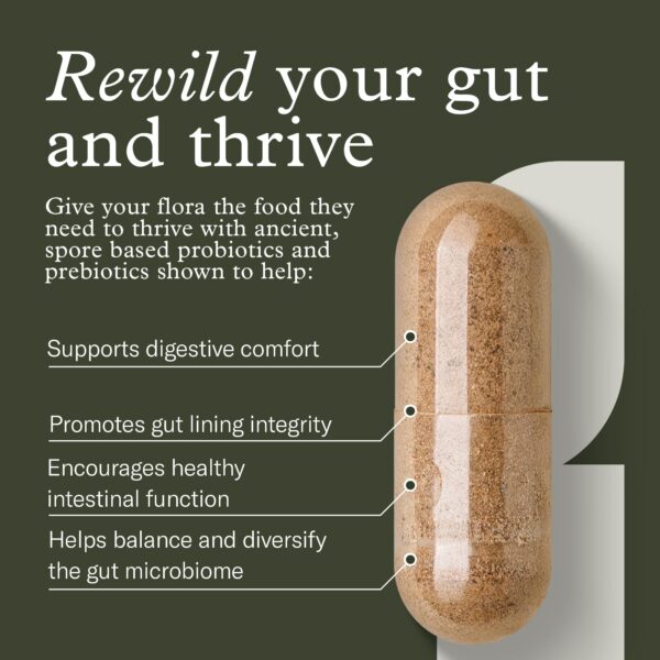 Suplemento sinbiótico Terraflora Enviromedica 60 cápsulas