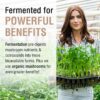 Suplemento Solaray fermentado hongo chaga vegano y puro 60 vegcaps