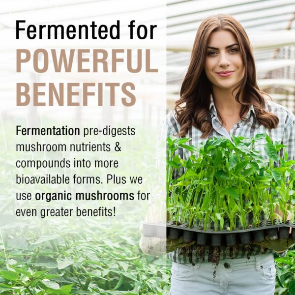 Suplemento Solaray fermentado hongo chaga vegano y puro 60 vegcaps