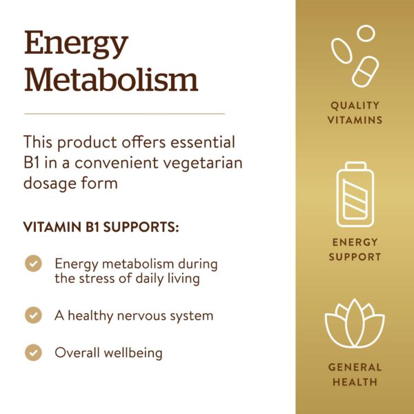 Version 1.0.0 Suplemento Solgar Vitamina B1 500 mg envase