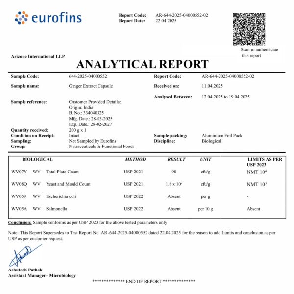 Suplemento STAY ALIVE con extracto de jengibre 10 a 1