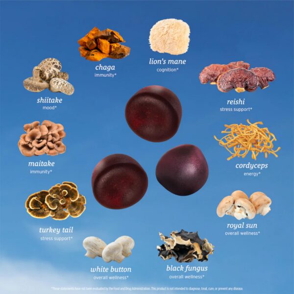 Suplemento SUNMED hongos funcionales energía y claridad mental