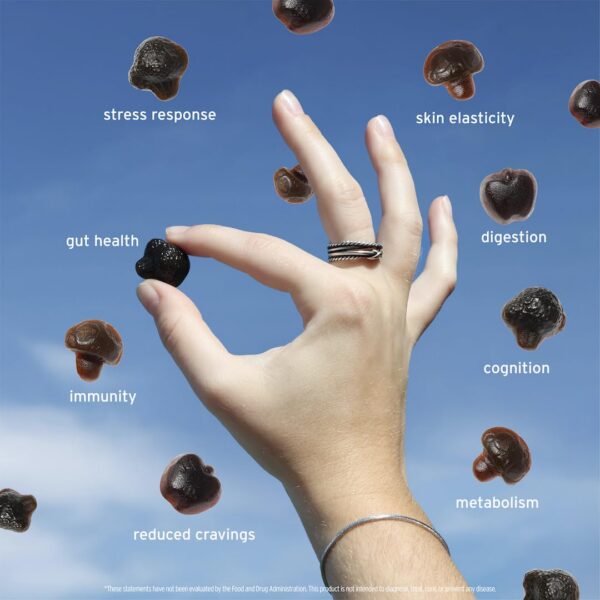 Version 1.0.0 Suplemento SUNMED Supergreens para bienestar