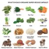 Suplemento de superalimentos frutas y verduras para digestión y energía natural