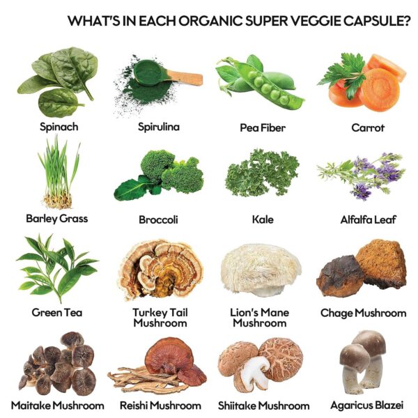 Suplemento de superalimentos frutas y verduras para digestión y energía natural