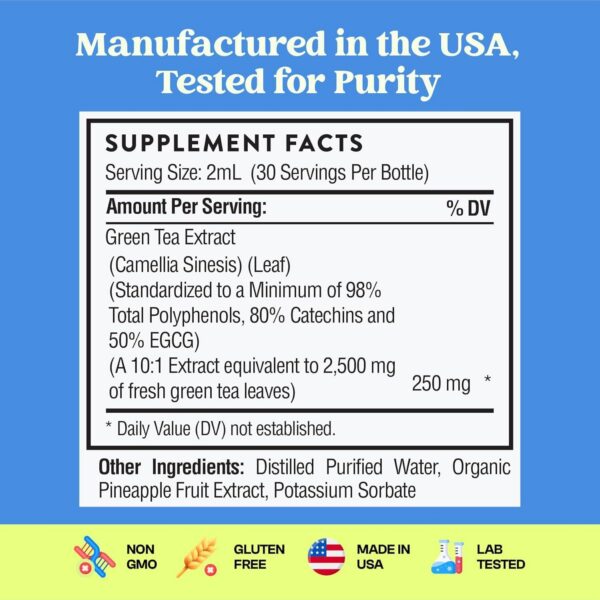Version 1.0.0 Suplemento de té verde con antioxidantes para piel, corazón y memoria