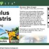 Version 1.0.0 Suplemento Tribulus Terrestris 450 mg respaldo botella TerraVita