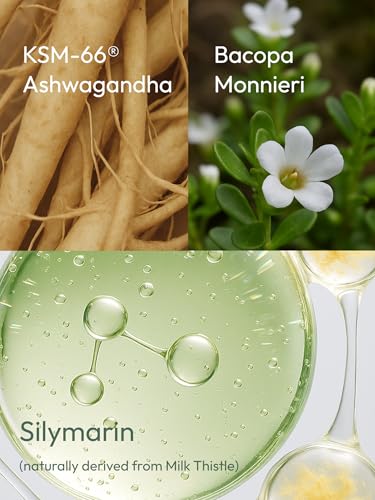 Version 1.0.0 Suplemento Upbe para enfoque mental y bienestar emocional