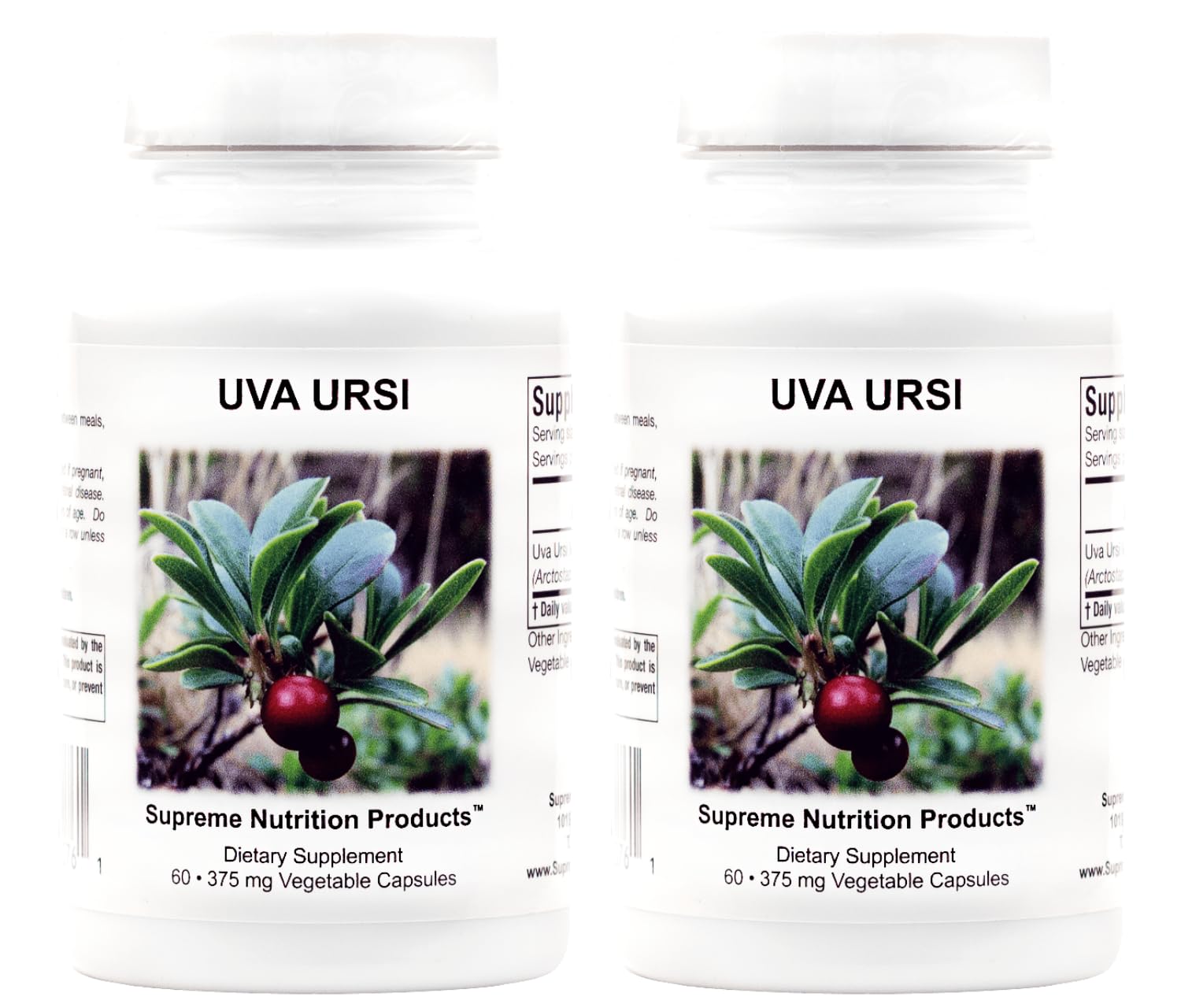 Uva Ursi