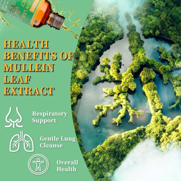 Suplemento vegano de extracto natural de hoja de gordolobo para pulmones