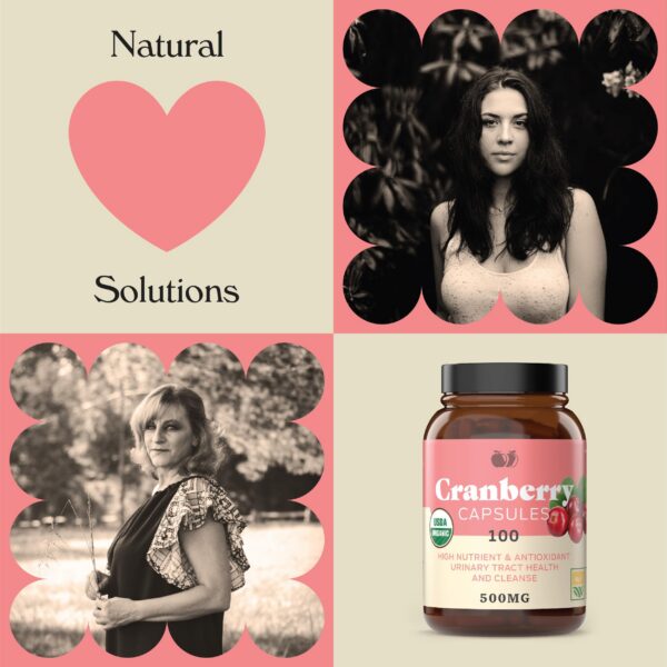 Suplemento vegano cápsulas arándano orgánico 475 mg 100 unidades