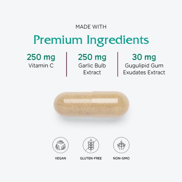 Version 1.0.0 Suplemento vegano CardioBlend Vitanica apoyo cardíaco y colesterol