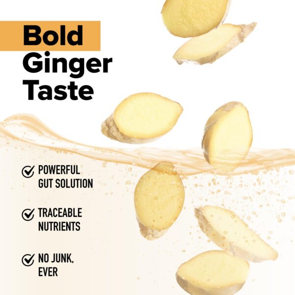 Suplemento vegano contenido natural Gut Nurture