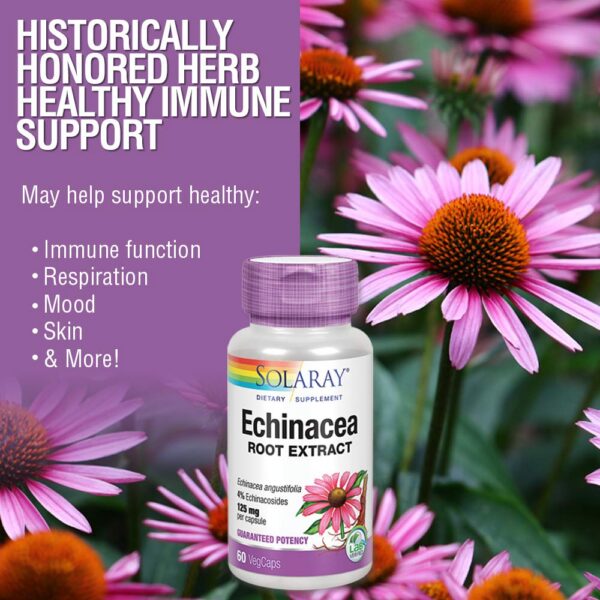 Suplemento vegano de Echinacea Angustifolia