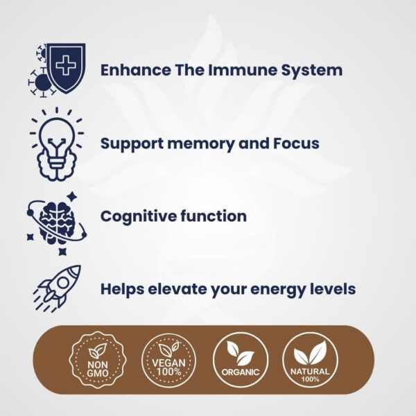 Version 1.0.0 Suplemento vegano extracto hongos Melena de León Reishi Leche de Tigre