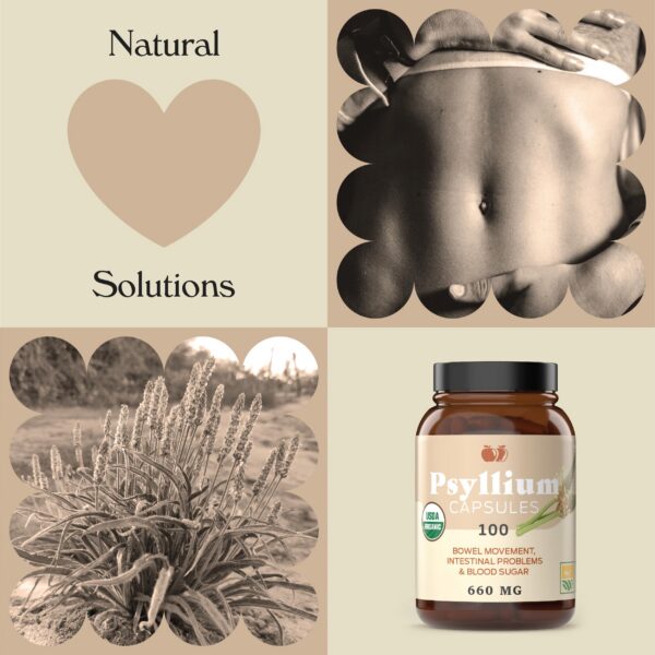 Suplemento vegano y libre de gluten Pure Natural Psyllium