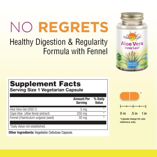 Suplemento vegano Nature's Life Aloe Vera 100 cápsulas