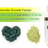 Suplemento vegetal en cápsulas de clorella FEBICO para salud