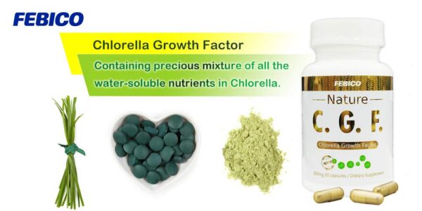 Suplemento vegetal en cápsulas de clorella FEBICO para salud