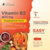 Suplemento Vitamina B2 riboflavina alta potencia Purely Holistic
