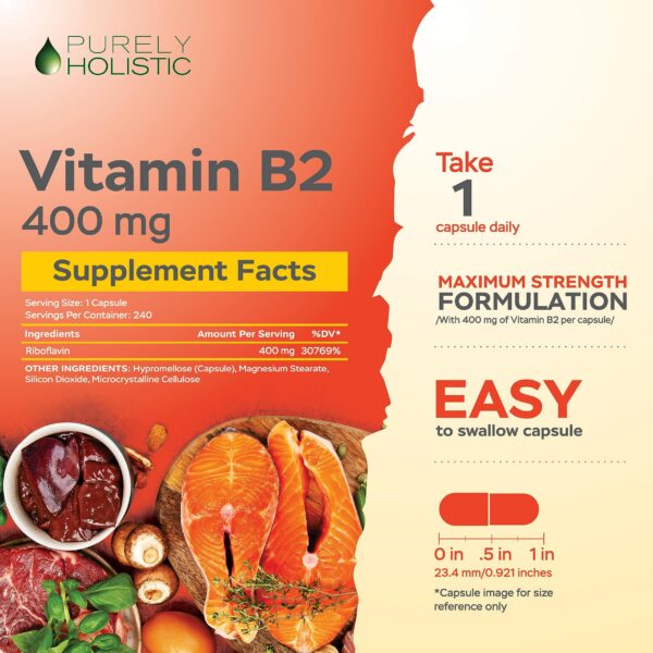 Suplemento Vitamina B2 riboflavina alta potencia Purely Holistic