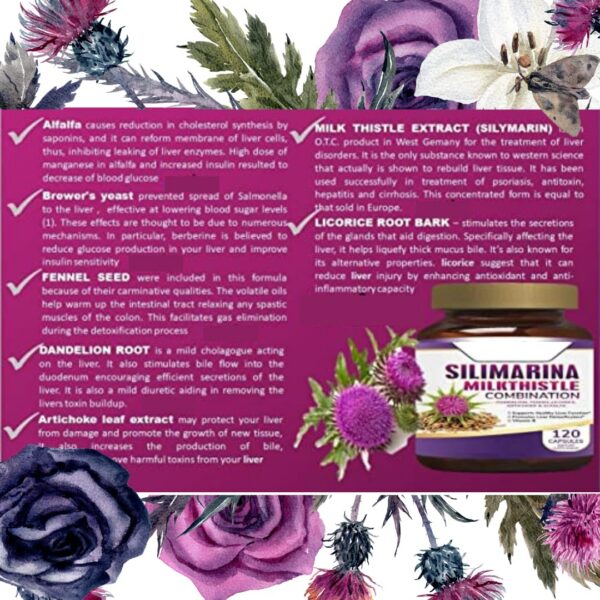 Suplemento vitamisan con ingredientes naturales para hígado