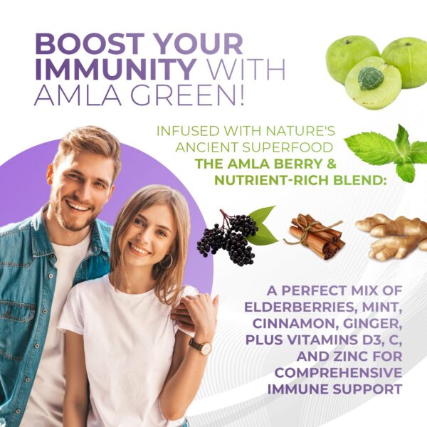 Version 1.0.0 Suplemento vitamínico amla con jengibre canela y menta saludable