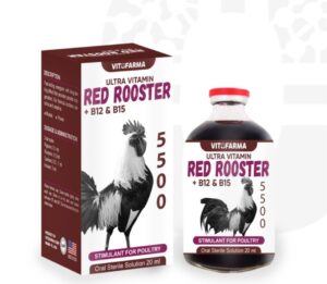 Suplemento Vitofarma B12 5500 20ml para masa muscular gallos