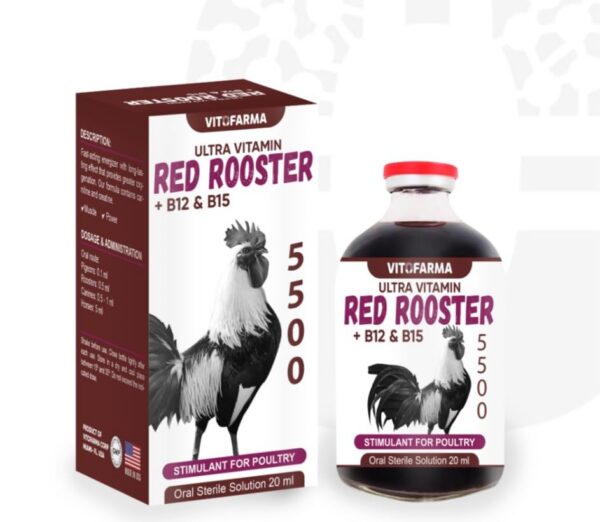 Suplemento Vitofarma B12 5500 20ml para masa muscular gallos