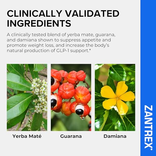 Version 1.0.0 Suplemento Zantrex Blue para apoyar metabolismo y pérdida de peso
