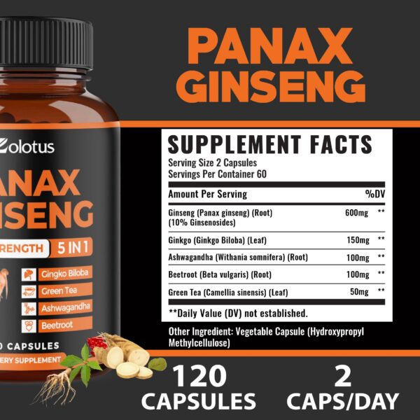 Suplemento Zolotus panax ginseng caja posterior