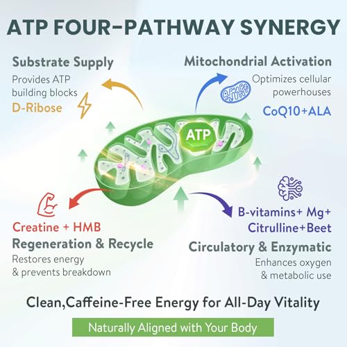 Suplemento Zypherionixis para fuerza resistencia y energía
