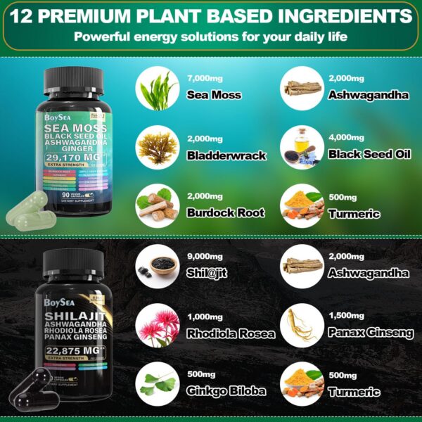 Suplementos Boysea Shilajit y Musgo de Mar en paquete combinado 3 unidades