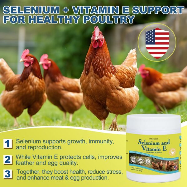 Version 1.0.0 Caja de suplementos para aves BiKontrun