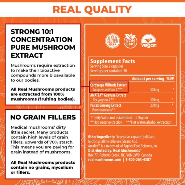 Suplementos de hongos veganos y no-GMO