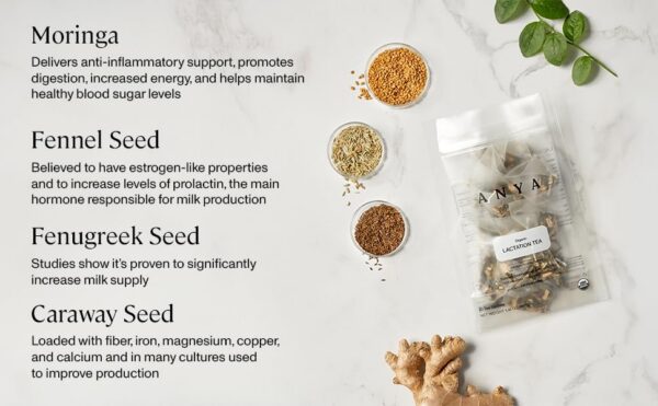 Suplementos postnatales ANYA para mujeres lactancia y energía