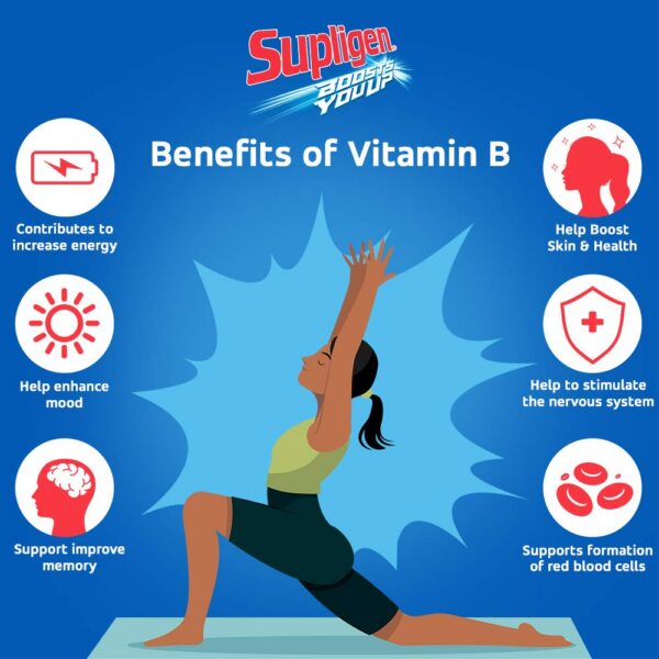 Paquete de 12 botellas Supligen chocolate