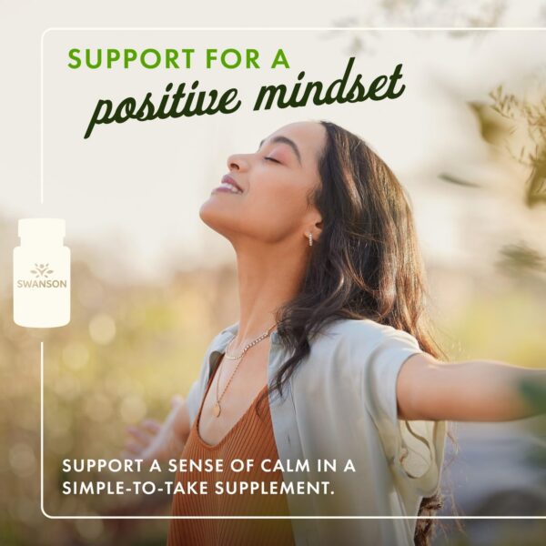 Version 1.0.0 Etiqueta de ingredientes L-Lisina