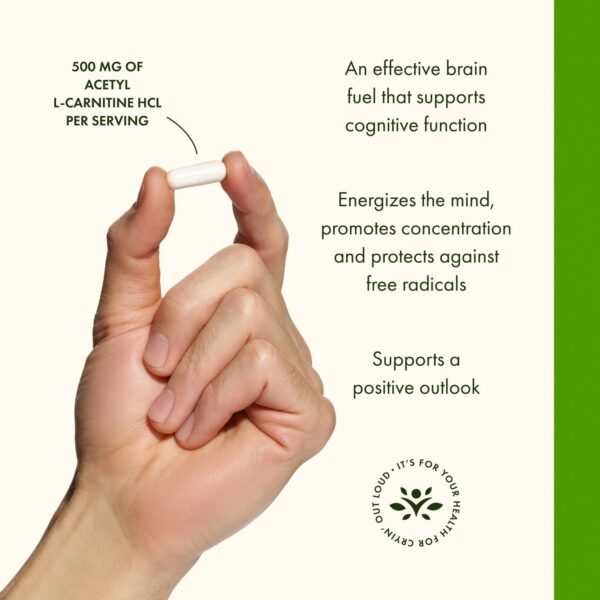 Version 1.0.0 Cápsula individual de acetil-L-carnitina 500 mg
