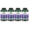 Frente del empaque Swanson Triple Magnesium Complex
