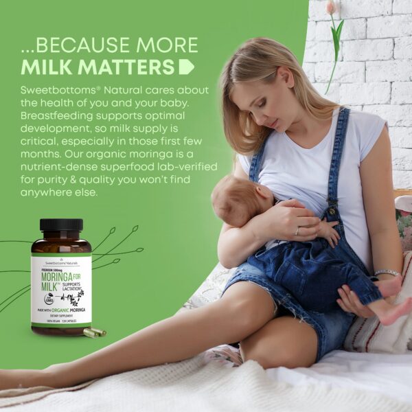 Hojas de moringa en polvo Malunggay