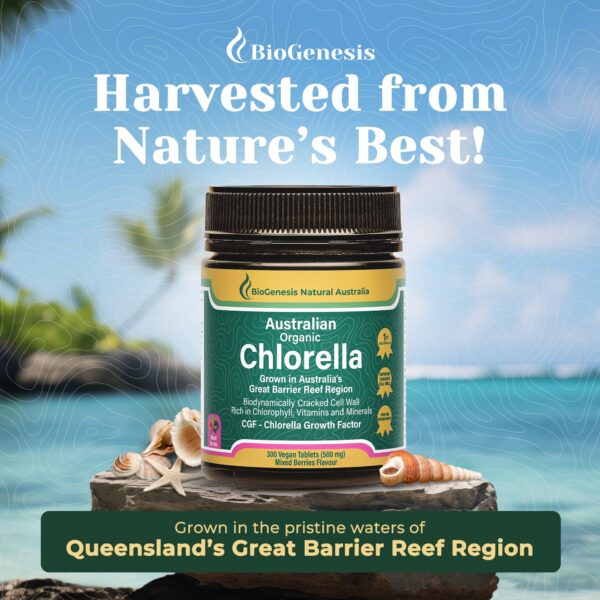 Version 1.0.0 Tabletas de Chlorella para buena salud