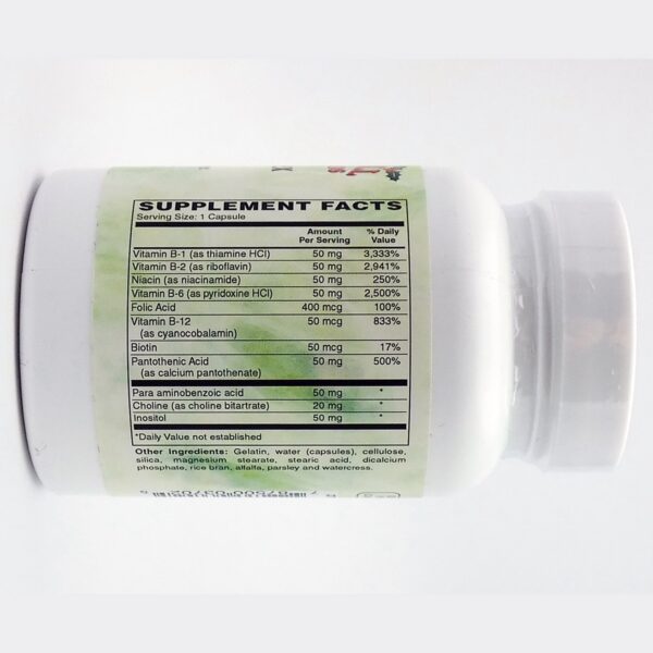 Version 1.0.0 Tabletas Complejo B50 Holly Hill Health close-up