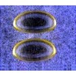 Version 1.0.0 Tabletas complejo vitamina b Us Nutrition Inc botella 100