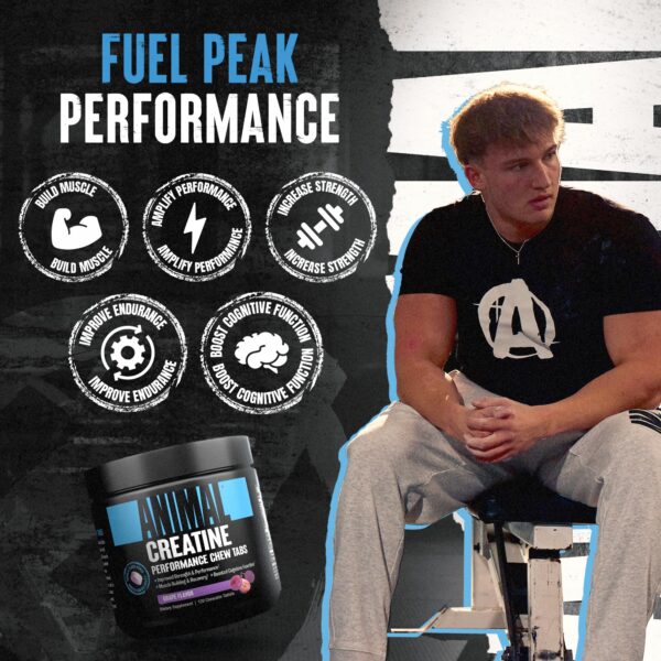 Version 1.0.0 Tabletas de creatina mejorada Animal con AstraGin y sal marina