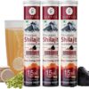 Tabletas efervescentes G-GLOWSIK Shilajit Himalaya paquete de 3