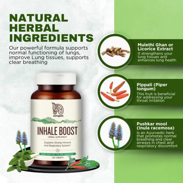 Version 1.0.0 Tabletas inhalar para salud pulmonar Nirogam