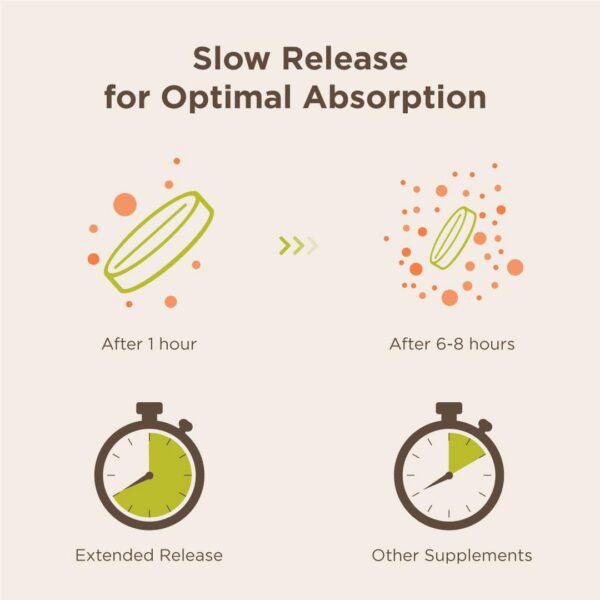 Tabletas liberación prolongada niacinamida 750mg Endurance Products
