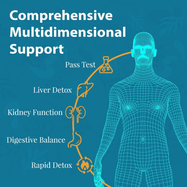 Tabletas masticables para detox hepático y renal 60 unidades